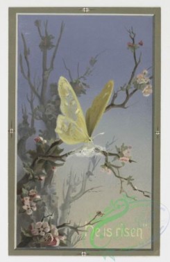 prang_cards_butterflies-00009 - 0235-Easter cards depicting angels, birds, nests, and eggs, butterfly emerging from cocoon, vase with flowers 104201