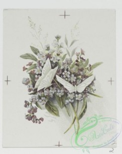 prang_cards_butterflies-00031 - 0697-Easter cards depicting flowers and butterflies 107328