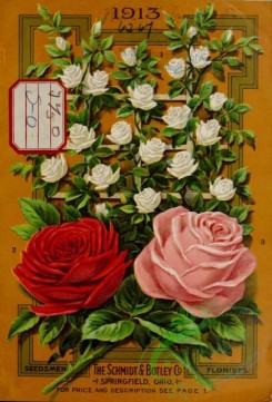 roses_flowers-01723 - 071-Roses