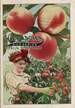 seeds_catalogs-01377 - 026-Peach, Woman [3313x4787]
