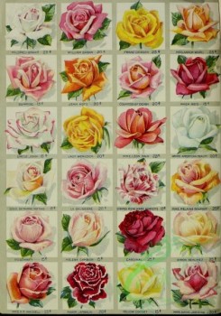 seeds_catalogs-05941 - 025-Roses [3132x4465]