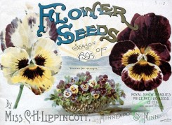 seeds_catalogs-07898 - 001-Flower Seeds Title, Pansy