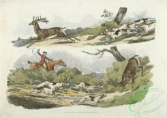 sporting-00010 - 012-A hunter with dogs chasing a stag