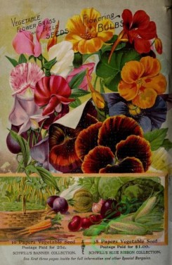 sweet_pea-00198 - 172490 - 052-Frame, vegetables, flowers, nasturtium, Sweet Pea, pansies