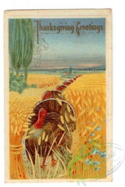 thanksgiving_day_postcards-00549 - 549-Turkey, field, wheat [2024x3000]