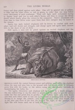 the_living_world-00467 - 494-Rhinoceros hunters