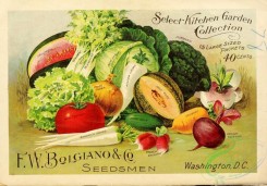 watermelon-00026 - 045-Vegetables, Celery, Watermelon, Beet, Cucumber, Tomato