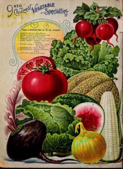 watermelon-00089 - 029-Vegetables, Corn, Watermelon, Cabbage, Beet, Onion, Radish